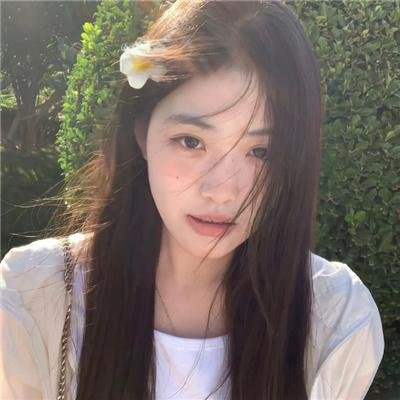 帝王蝶之子